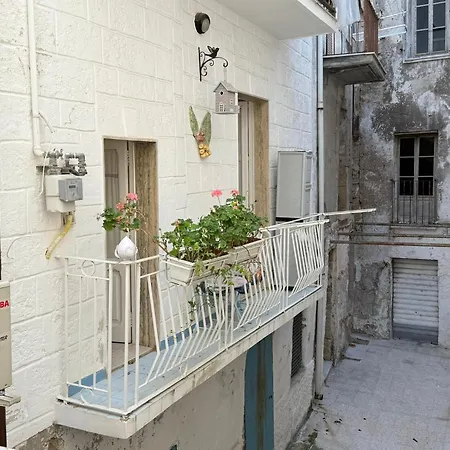 Apartman Casetta Azzurra *